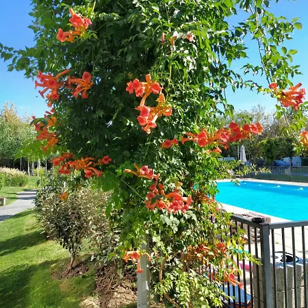 Holiday Resort Apartment דירה *