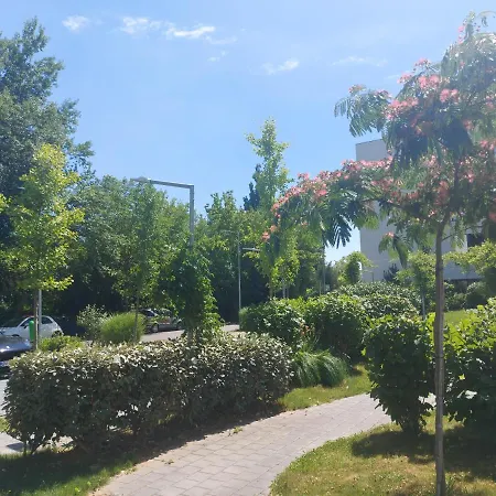 Holiday Resort Apartment בוקרשט